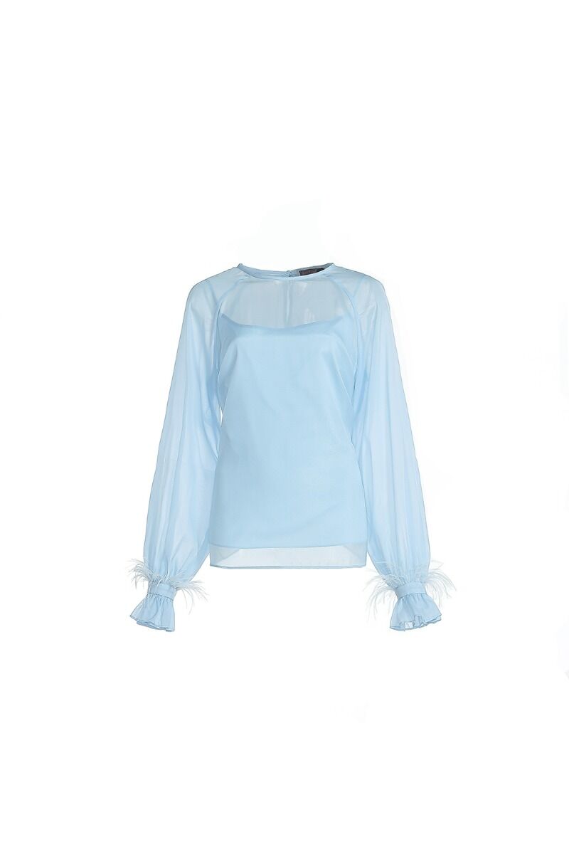 Sheered sleeves blouse